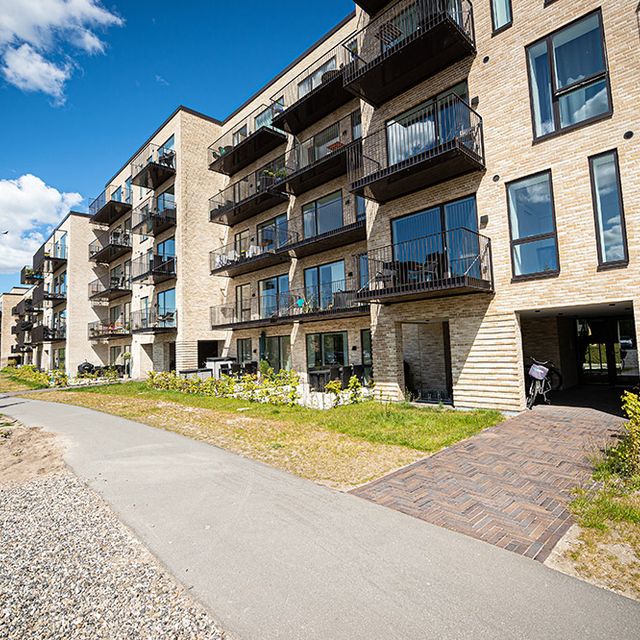 Oasen, Aalborg